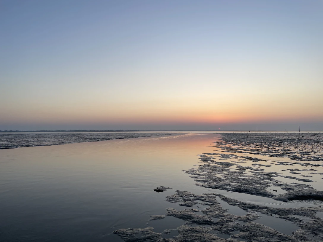 Nationalpark-Wattwanderung__Mit_der_Flut_wandern2.jpg