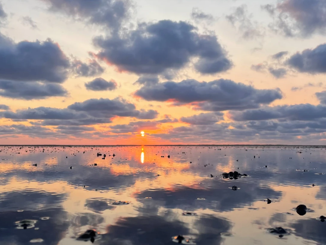 Nationalpark-Wattwanderung__Klimawandel_im_Wattenmeer.jpg