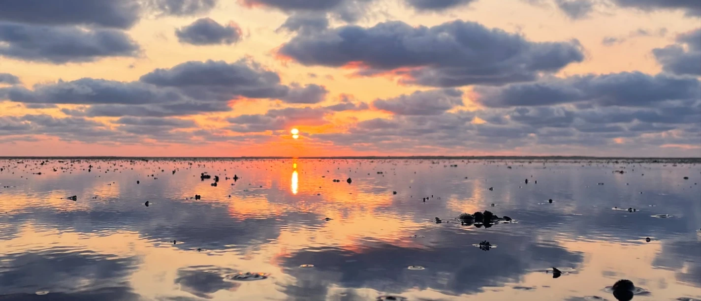 Nationalpark-Wattwanderung__Klimawandel_im_Wattenmeer.jpg