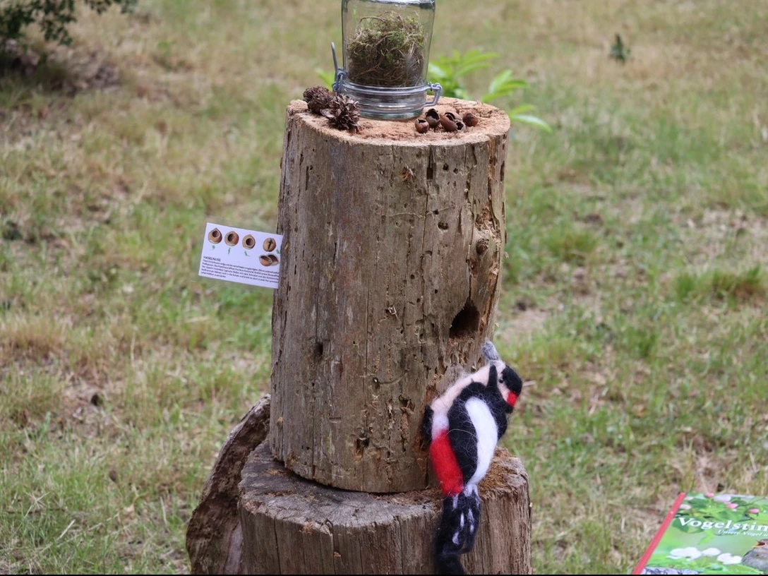 Der Buntspecht_Foto Sina Kruse.jpg Ein Buntspecht in realistischer Filzoptik sitzt neben einem Holzstumpf mit Tannenzapfen und Moos.