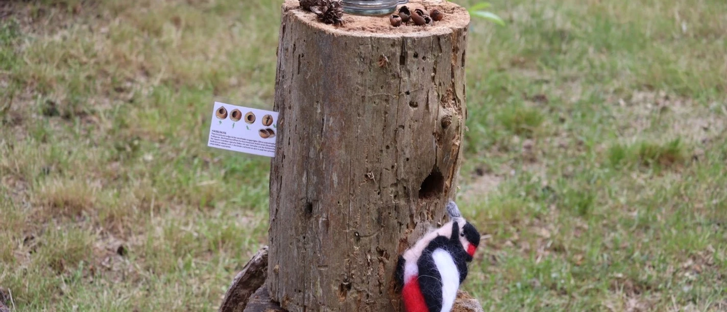 Der Buntspecht_Foto Sina Kruse.jpg Ein Buntspecht in realistischer Filzoptik sitzt neben einem Holzstumpf mit Tannenzapfen und Moos.