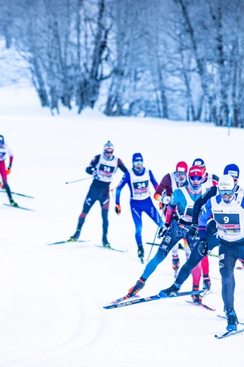 Wettkampf, Schnee, Wald, Loipe