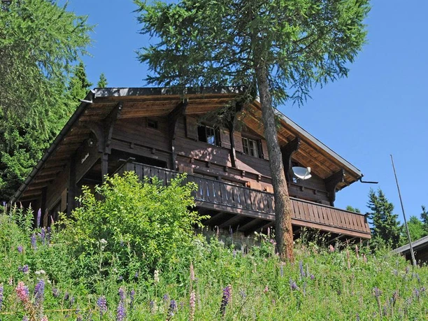 Chalet Bärgfink