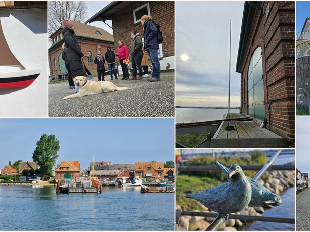 Noack_03 Collage.jpg