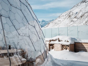 TCA_The Swiss House-7.jpg