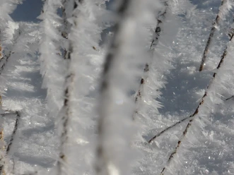 Winter in Medebach