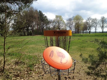 Disc-Golf_Tankumsee_CC0 (2).jpg
