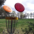 Disc-Golf_Tankumsee_CC0 (3).jpg