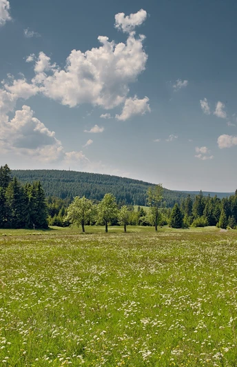 Radregion Erzgebirge