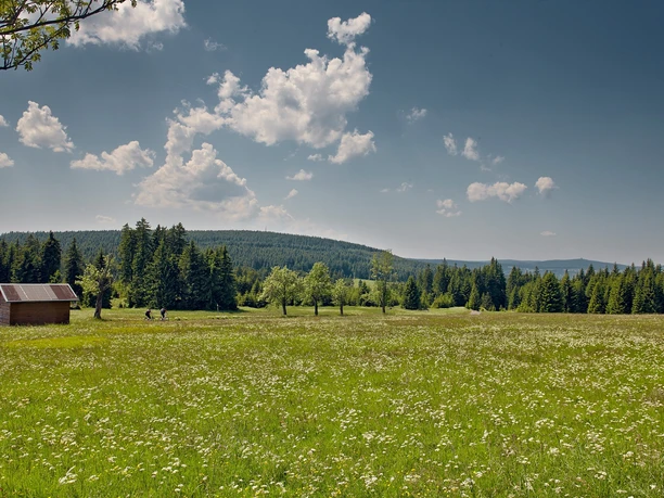 Radregion Erzgebirge