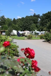Camping Brunautal