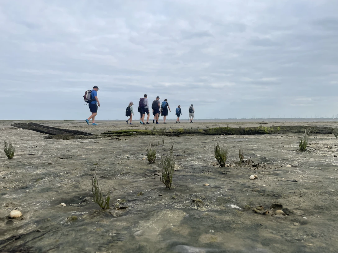 Nationalpark-Wattwanderung__Zur_Insel_Baltrum.jpg