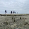 Nationalpark-Wattwanderung__Zur_Insel_Baltrum.jpg