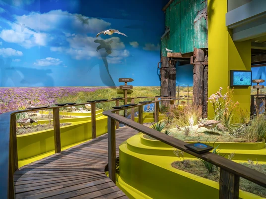 20230714 Instawalk AboutCities WHV -R Ganske 021.jpg