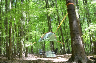 Baumzelt im Wald Tree tent in the forest