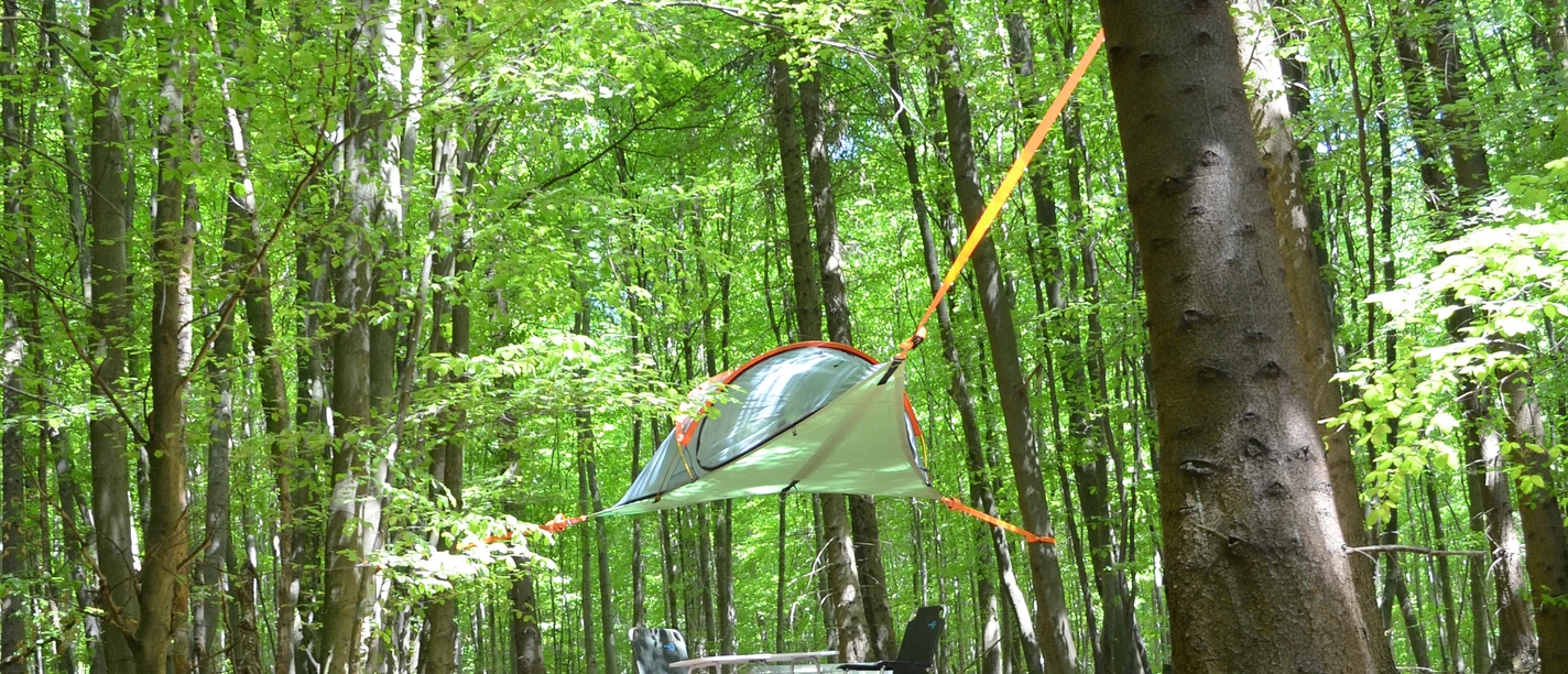 Baumzelt im Wald Baumzelt im Wald