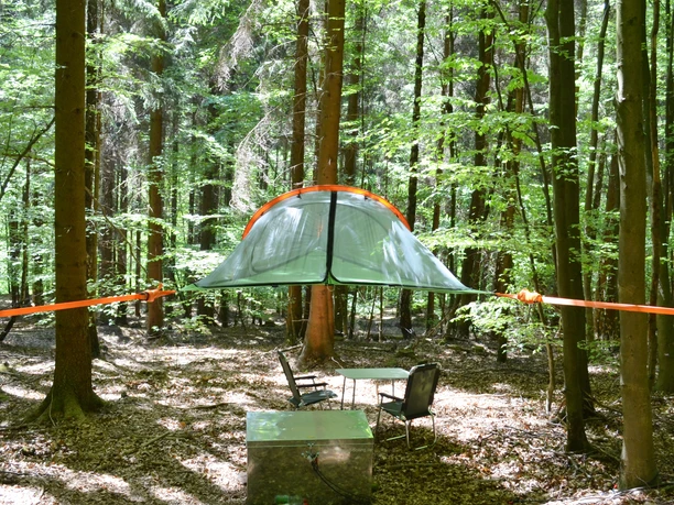 Tree tent in the forest