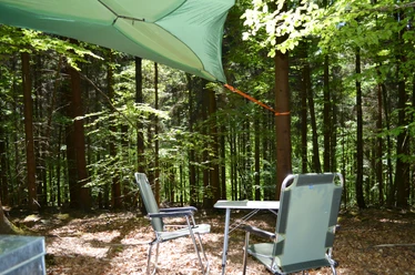 Baumzelt im Wald Tree tent in the forest