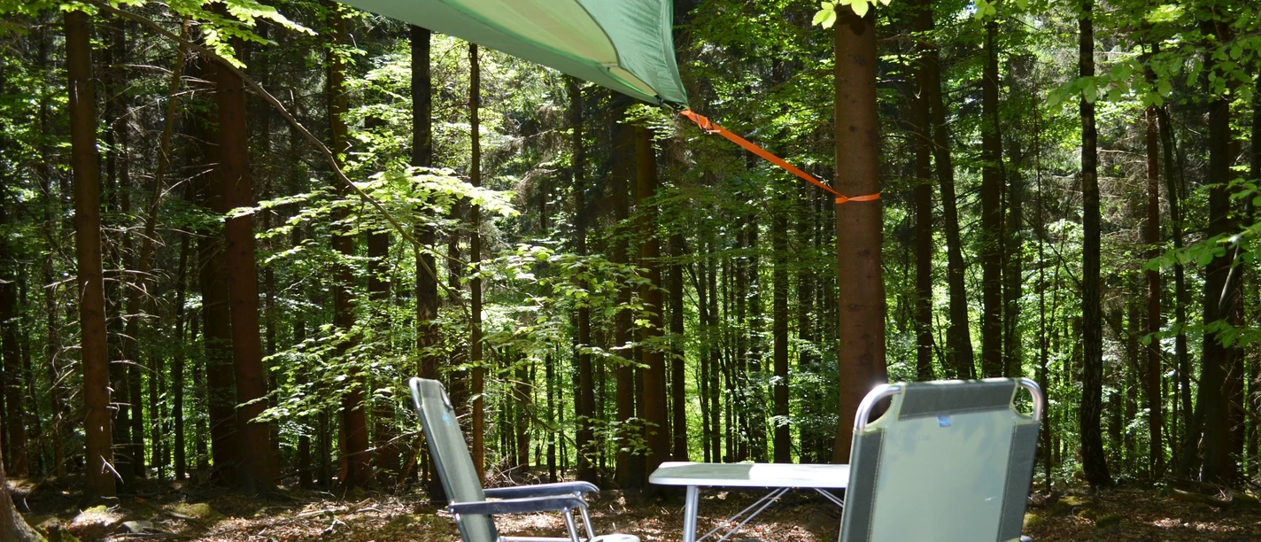 Baumzelt im Wald Tree tent in the forest