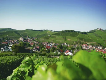 Hotel Ritter Durbach