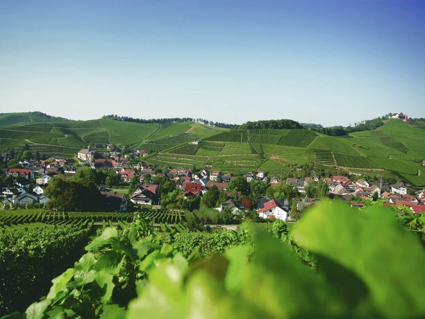 Hotel Ritter Durbach