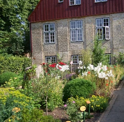 Bibelgarten.JPG