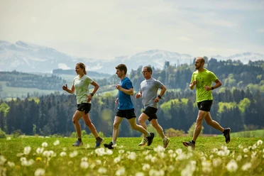 VelofahrenJogging oberhalb Sempachersee_8.jpg