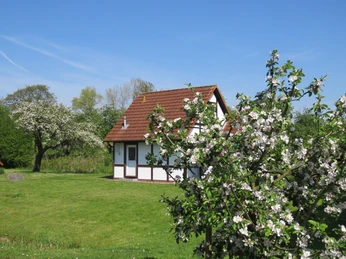Ferienhaus mit Blüte