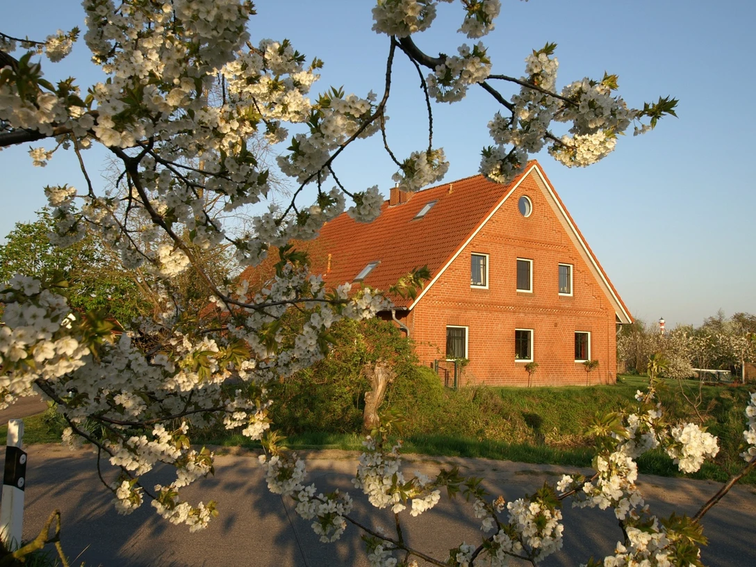 Außenansicht Ferienwohnungen Ebbe und Flut