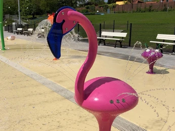 Flamingo im Heidebad Buxtehude