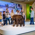 Führung im Neanderthal Museum Besuchergruppe im Neanderthal Museum studiert interessiert ein lebensgroßes Modell eines Mammutbabys.