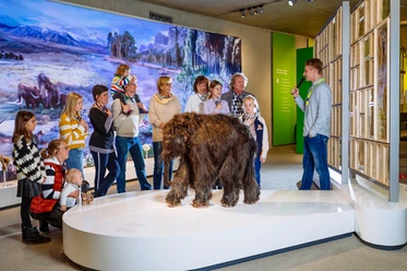 Besuchergruppe im Neanderthal Museum studiert interessiert ein lebensgroßes Modell eines Mammutbabys.
