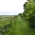 Wanderweg auf dem Moordeich, Wischhafen