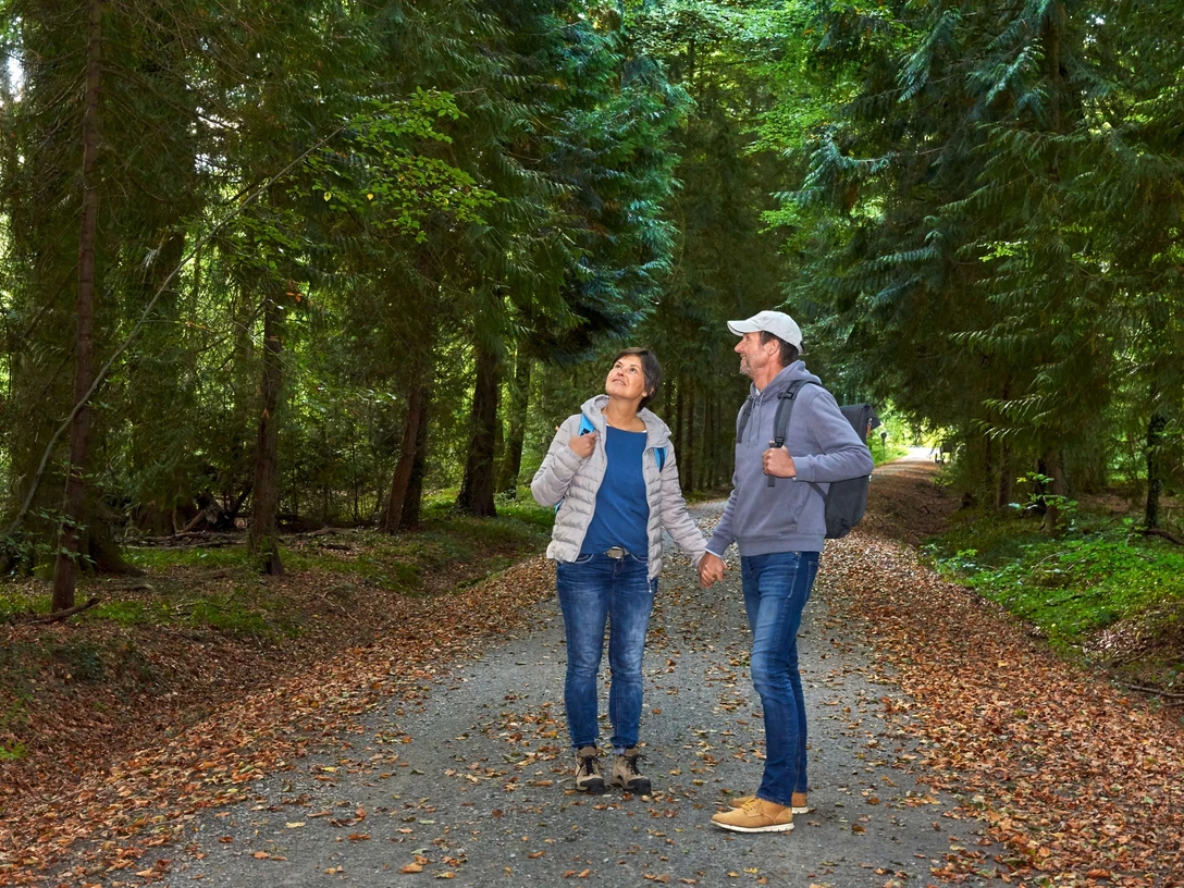 Spaziergänger im Naturwald Braken