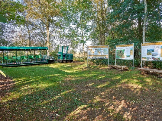 Moorkieker im Aschhorner Moor