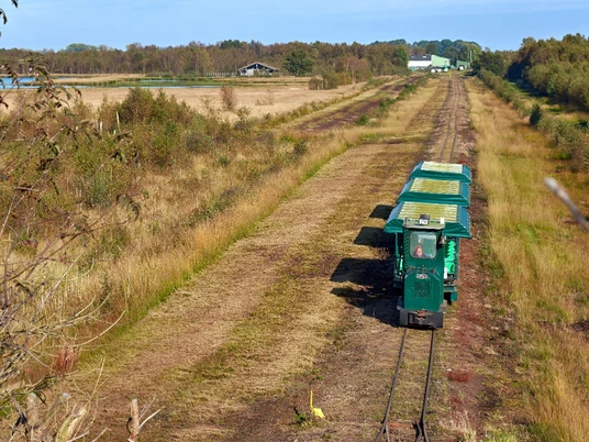 Moorkieker auf Fahrt