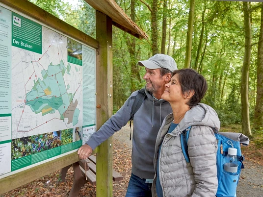 Wandern im Naturwald Braken
