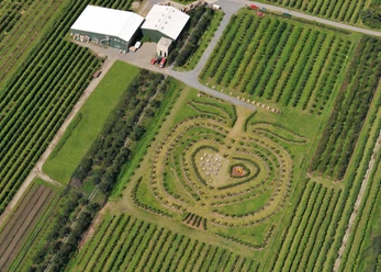 Der Herzapfelgarten vom Herzapfelhof Lühs