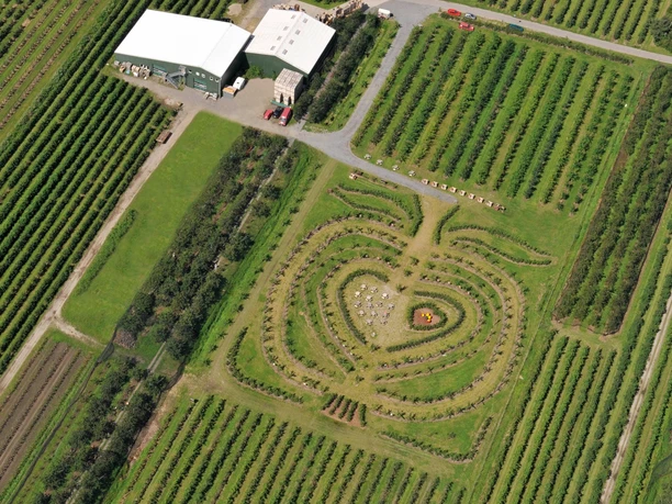 Der Herzapfelgarten vom Herzapfelhof Lühs