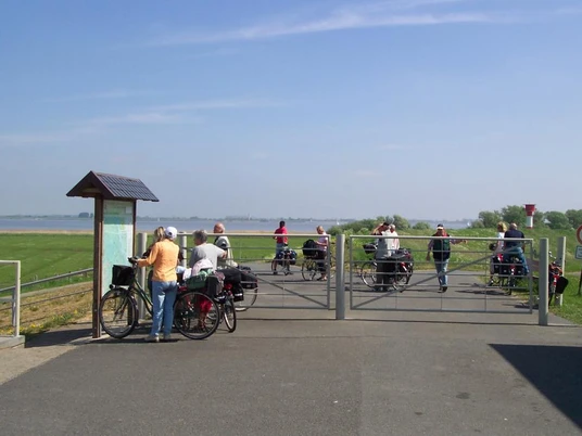 Radler auf dem Elberadweg