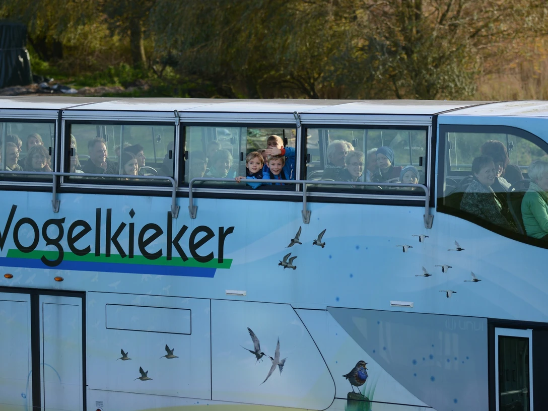 Vogelkieker - Panoramadach mit Ausblick auf den Internationalen Vogelflughafen Kehdingen