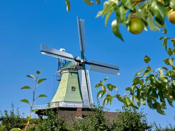 Windmühle Venti Amica