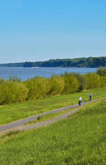 Radfahrer an der Elbe