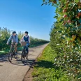 Radler auf der Obstroute