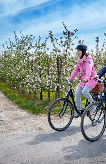 Fahrrad während der Blütezeit