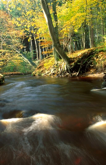 Steinbecktal in Harsefeld