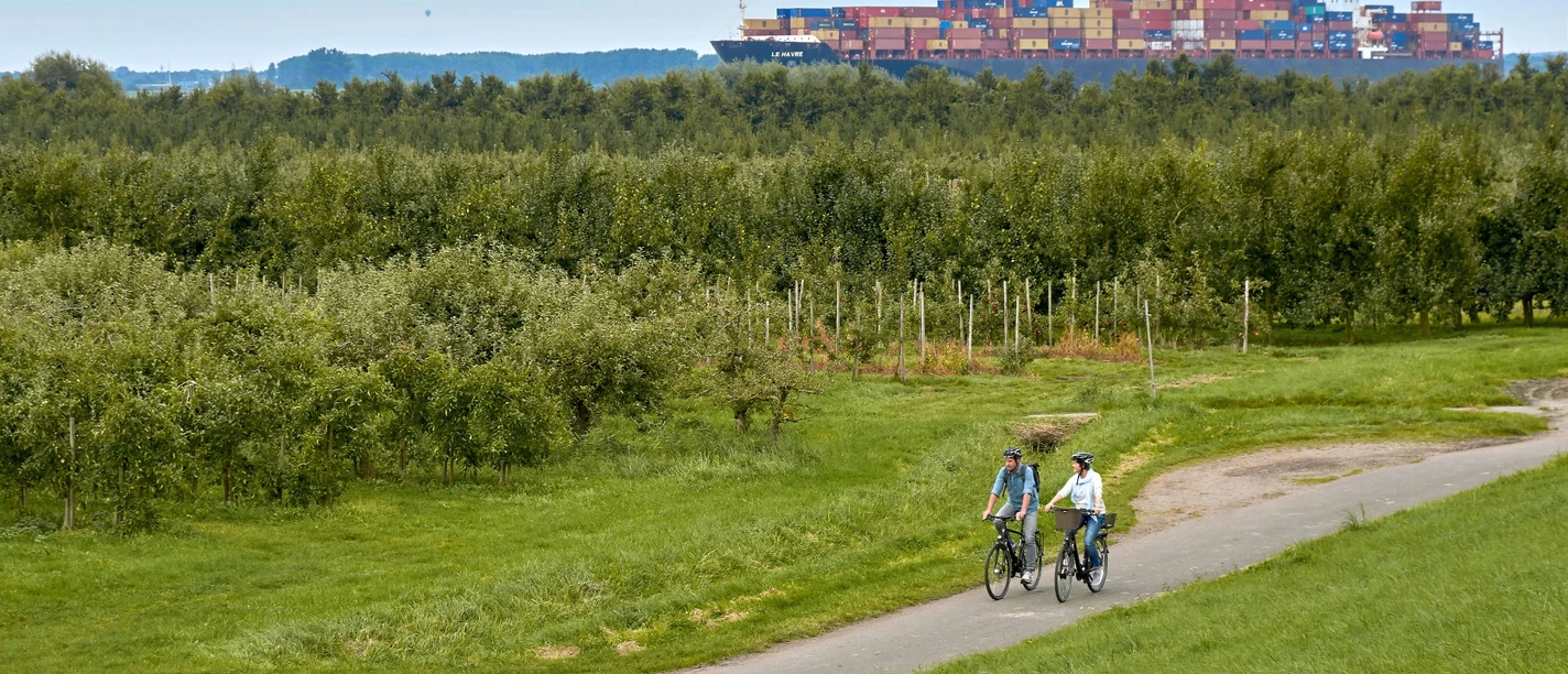 Radfahrer auf dem Elberadweg