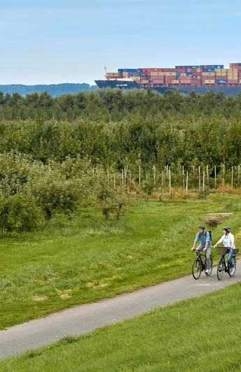Radfahrer auf dem Elberadweg