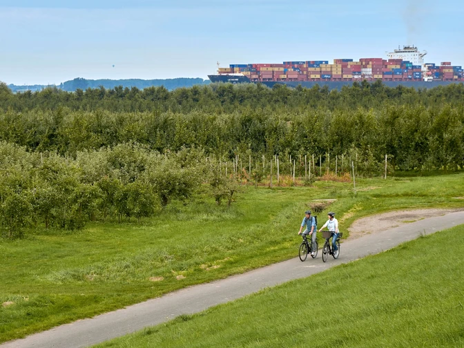 Radfahrer auf dem Elberadweg