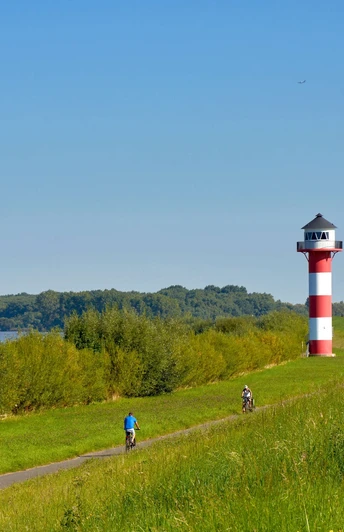 Radfahrer an der Elbe